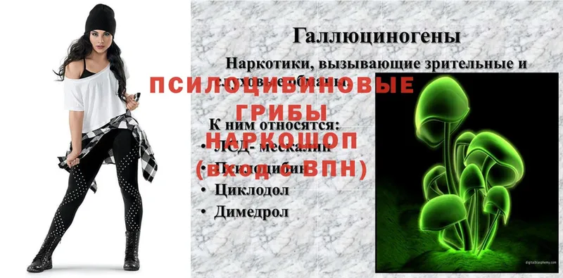 Псилоцибиновые грибы мухоморы  МЕГА зеркало  Канск  это состав  даркнет сайт 